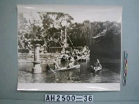 藏品(寧波中山公園照片)的圖片